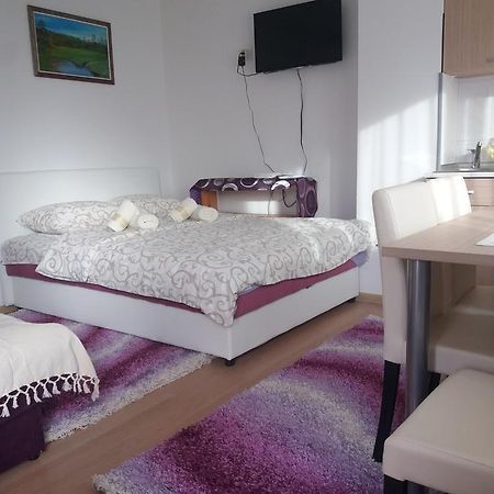 Apartment Bucic 兹拉蒂博尔 客房 照片