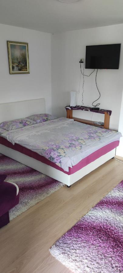 Apartment Bucic 兹拉蒂博尔 外观 照片